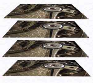 Vier Einzelbilder aus unterschiedlichen Schärfeebenen, die einen Z-Stapel bilden