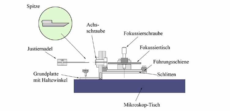 Seitenansicht der Stereowippe