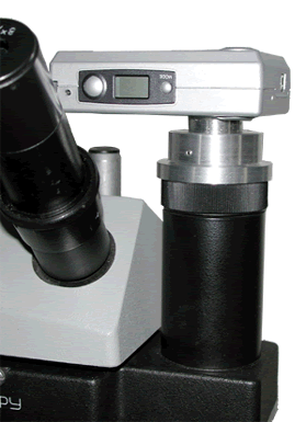 MegaCam auf MBS-10