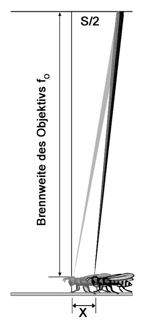 Verschiebetechnik (Skizze)