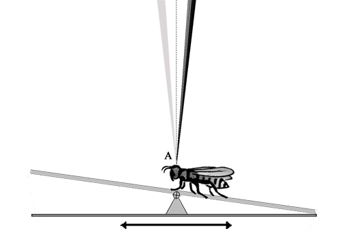 Wippe auf Schlitten (Skizze)