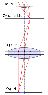 Strahlengang eines Makroskops (zweistufig mit Endlichoptik)