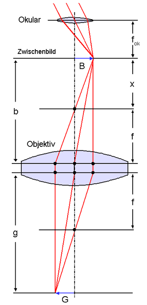 Strahlengang des Makroskops mit Längenbezeichnungen